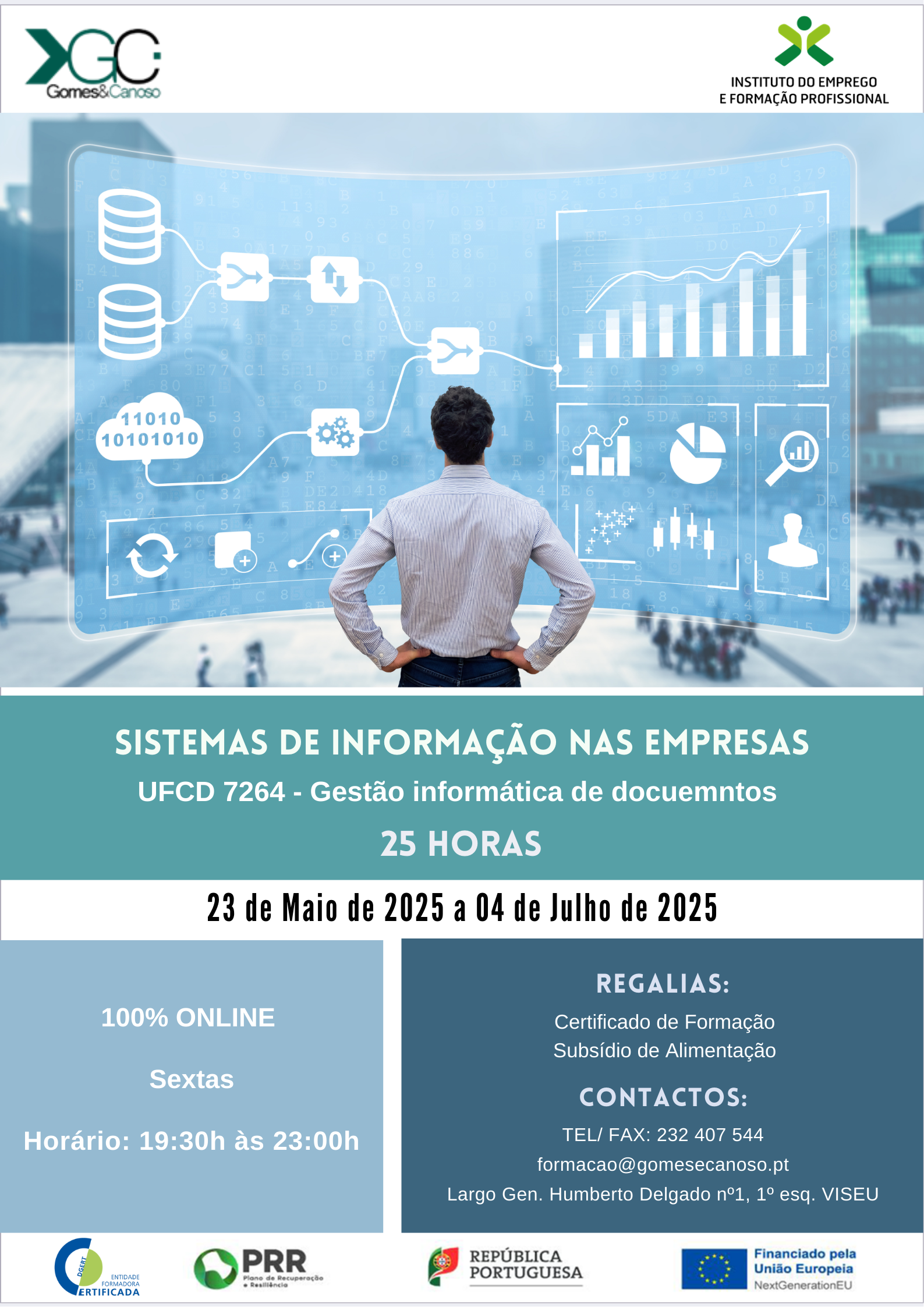 Sistemas de informação nas empresas